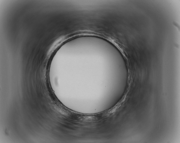 X0000096730151200802051137