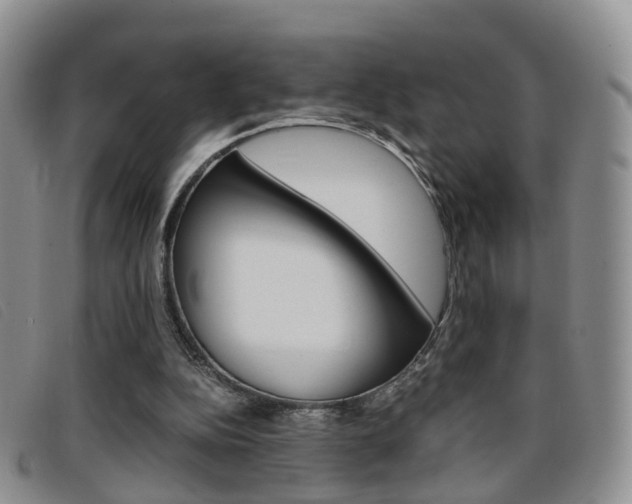 X0000096730152200802051137