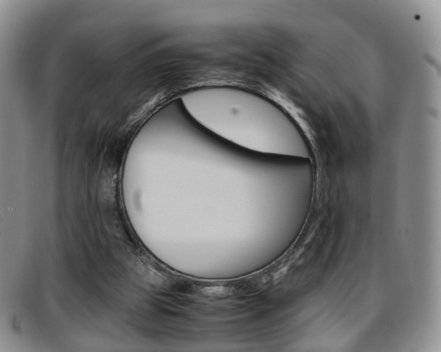 X0000096730153200802051137
