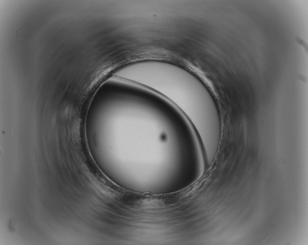 X0000096730154200802051137