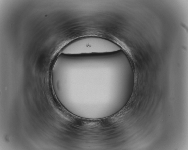 X0000096730155200802051137