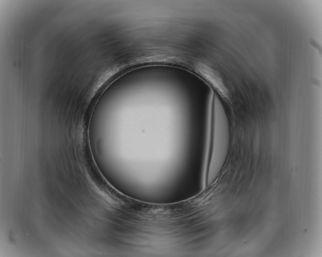 X0000096730156200802051137