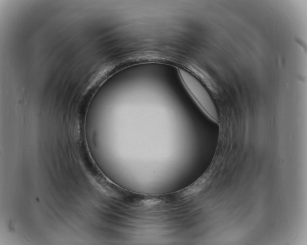 X0000096730158200802051137