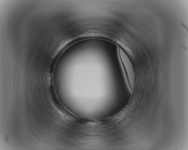 X0000096730160200802051137