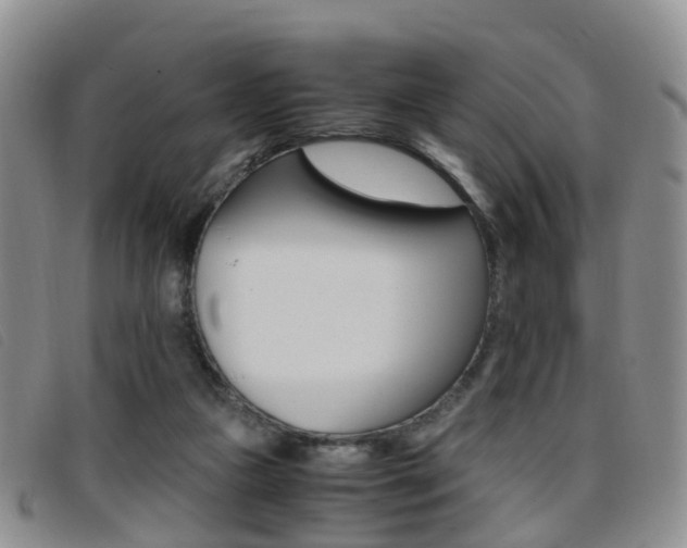 X0000096730161200802051137