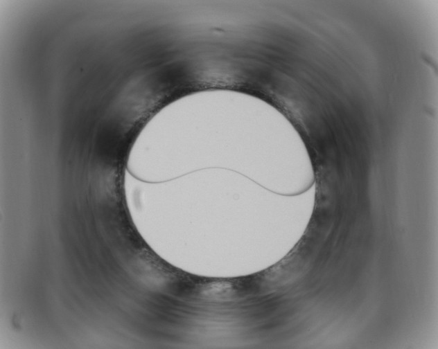 X0000096730162200802051137