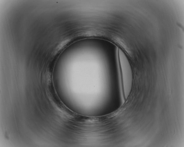 X0000096730164200802051137