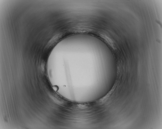 X0000096730166200802051137