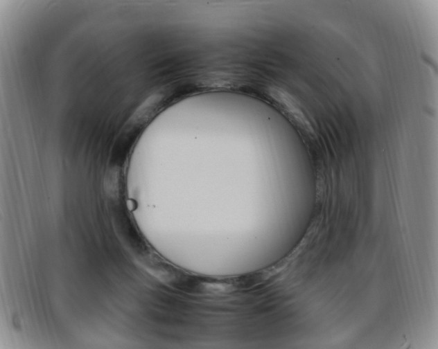 X0000096730167200802051137