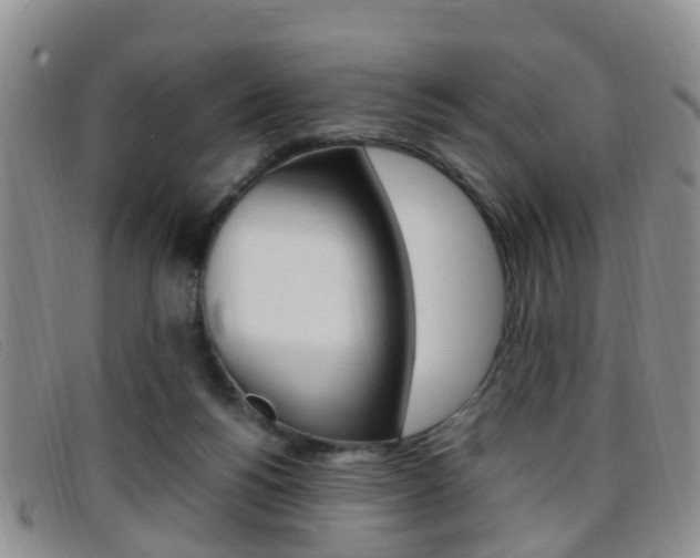 X0000096730168200802051137