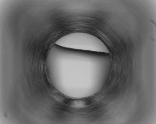 X0000096730169200802051137