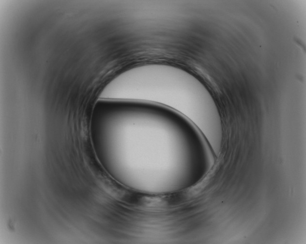 X0000096730170200802051137