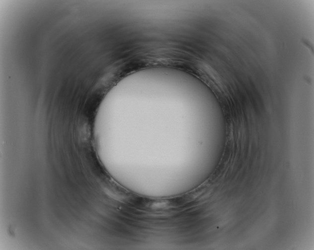 X0000096730173200802051137