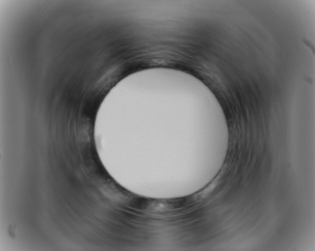 X0000096730174200802051137
