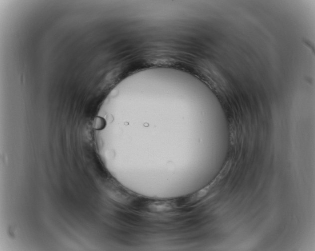 X0000096730175200802051137