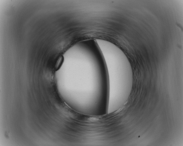 X0000096730176200802051137