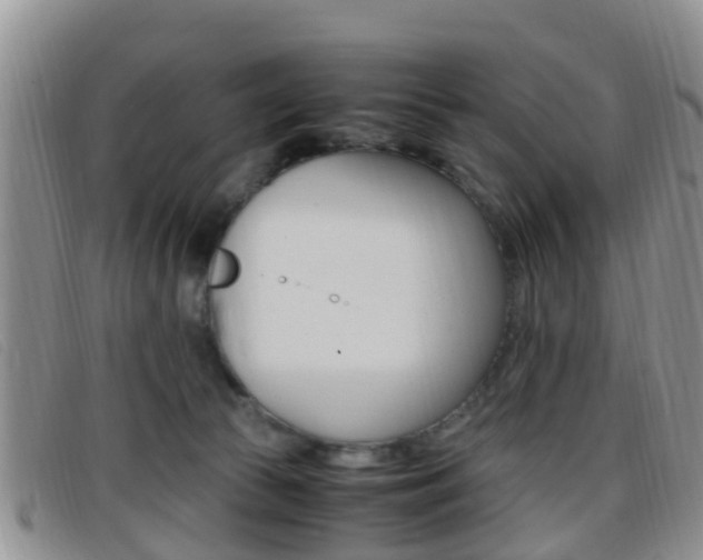 X0000096730177200802051137