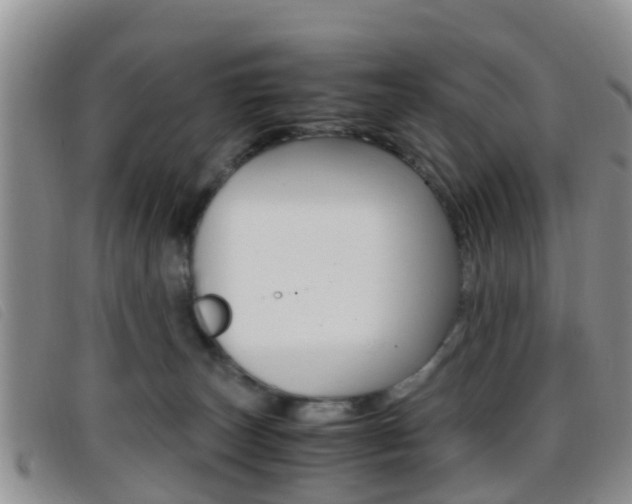 X0000096730179200802051137