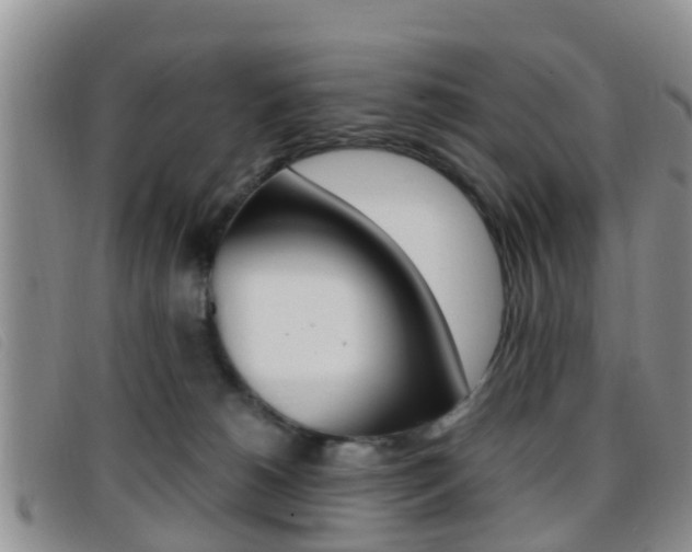 X0000096730180200802051137