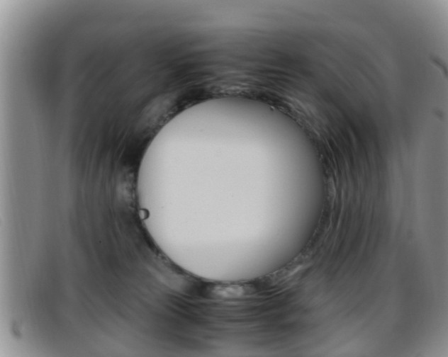 X0000096730181200802051137