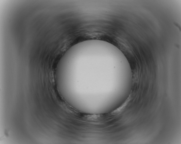 X0000096730182200802051137