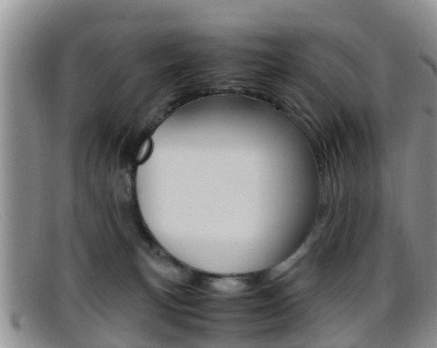 X0000096730183200802051137