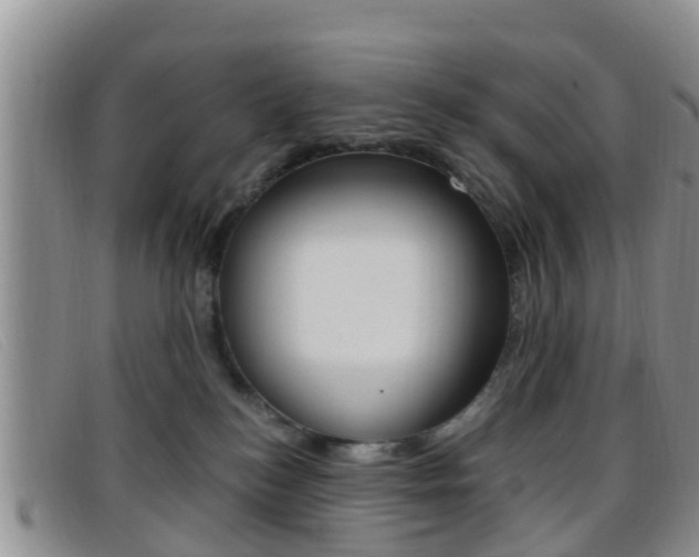 X0000096730184200802051137