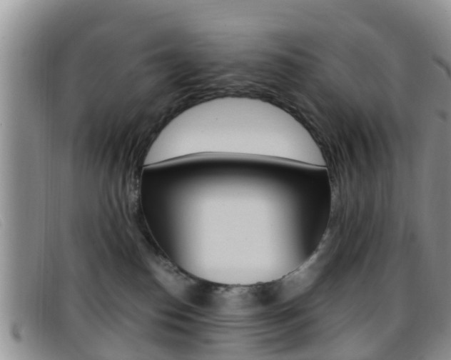 X0000096730186200802051137