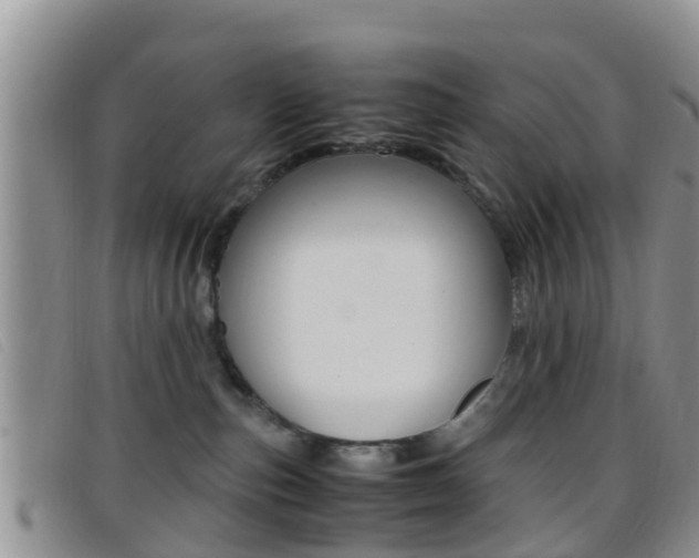 X0000096730187200802051137