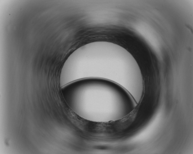 X0000096730190200802051137