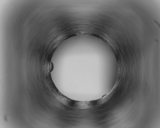 X0000096730191200802051137