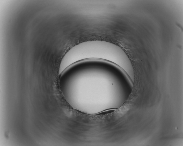 X0000096730192200802051137