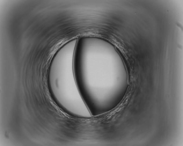 X0000096730193200802051137
