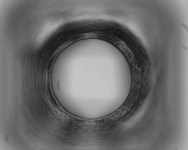 X0000096730194200802051137