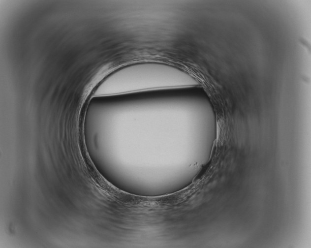 X0000096730195200802051136
