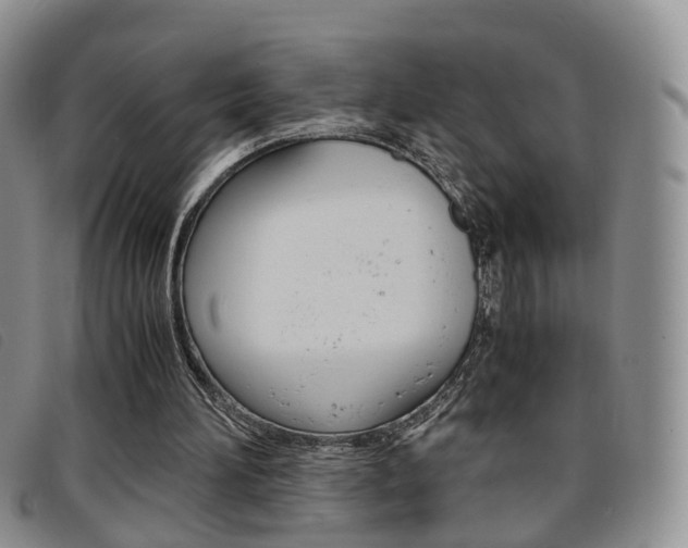 X0000096730196200802051136