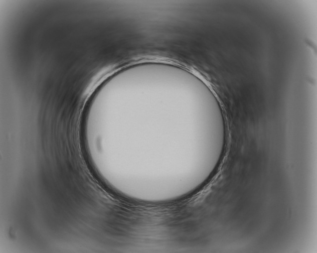 X0000096730199200802051136