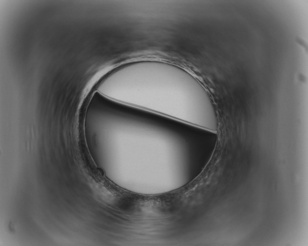X0000096730200200802051136
