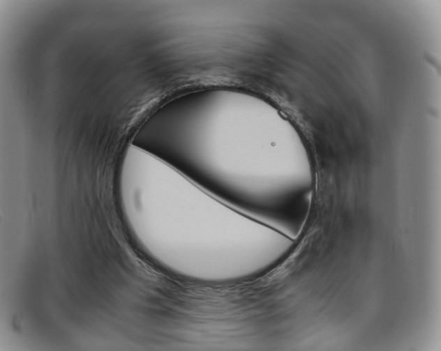 X0000096730201200802051136