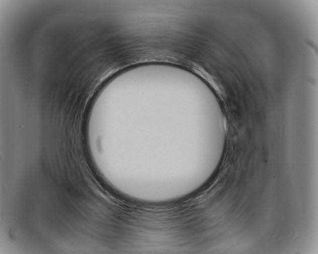X0000096730203200802051136