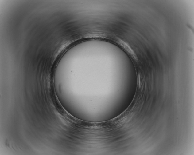 X0000096730204200802051136