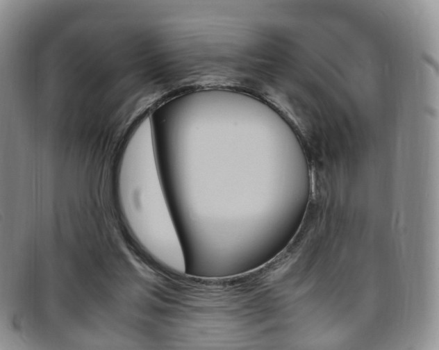 X0000096730205200802051136