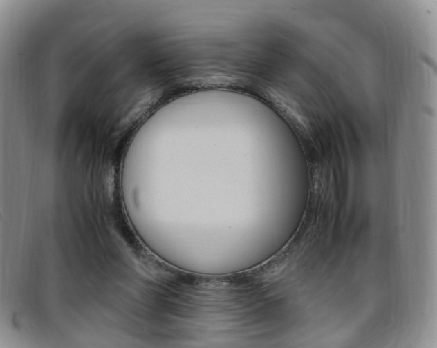 X0000096730206200802051136