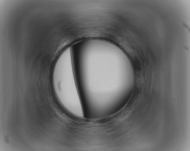 X0000096730207200802051136