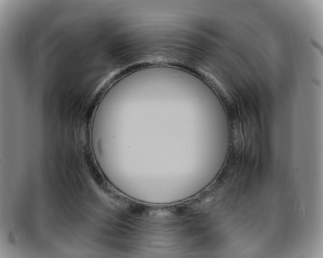 X0000096730208200802051136