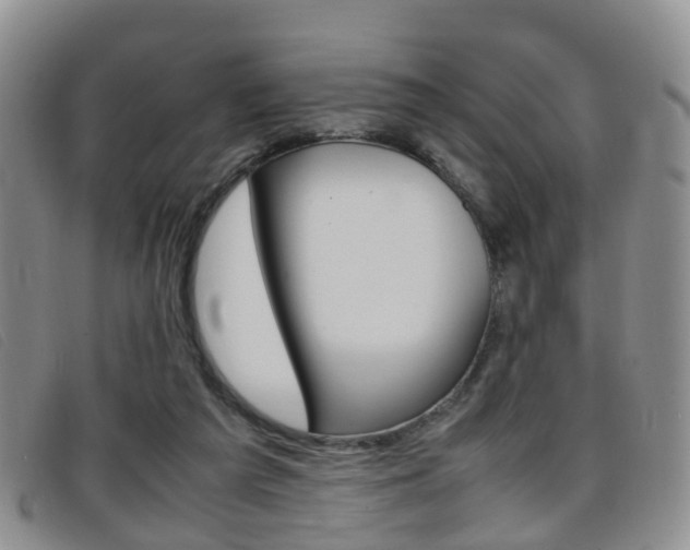 X0000096730209200802051136
