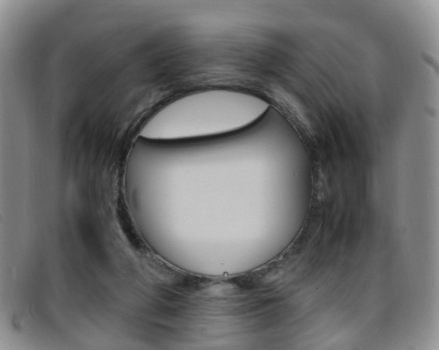 X0000096730210200802051136
