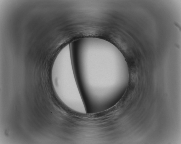 X0000096730211200802051136