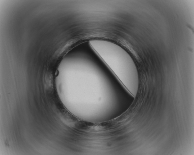 X0000096730212200802051136