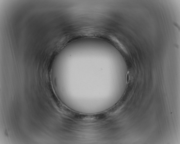 X0000096730213200802051136